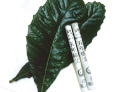 �r���̗t����